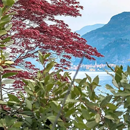 Pescallo Mandarin By Wonderful Italy Hotel Bellagio